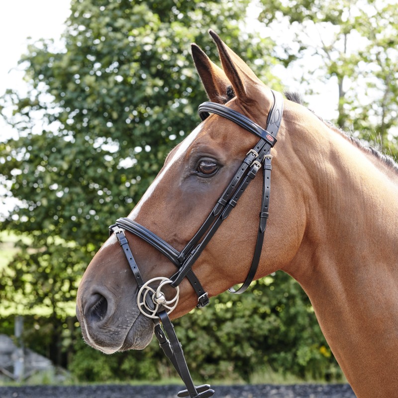 BR077 - Barton Raised Flash Bridle (inc Rubber Reins)